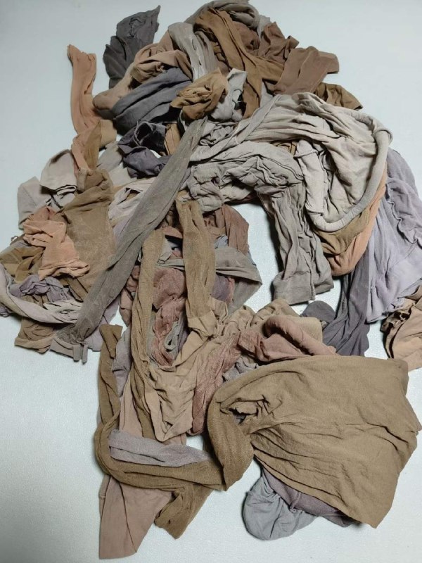 Photo gallery from 20230925, image 9