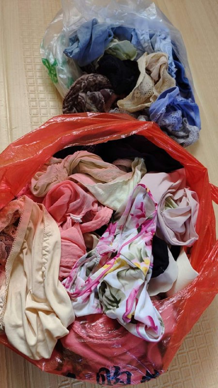 Photo gallery from 20231015, image 10