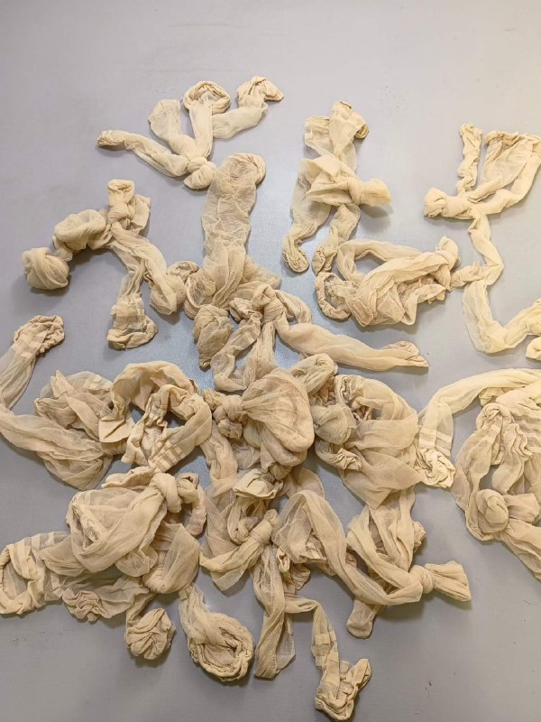 Photo gallery from 20260318, image 11