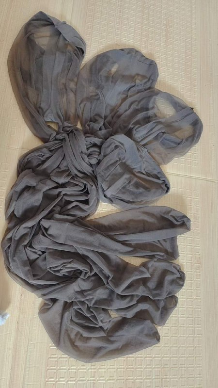 Photo gallery from 20230707, image 9