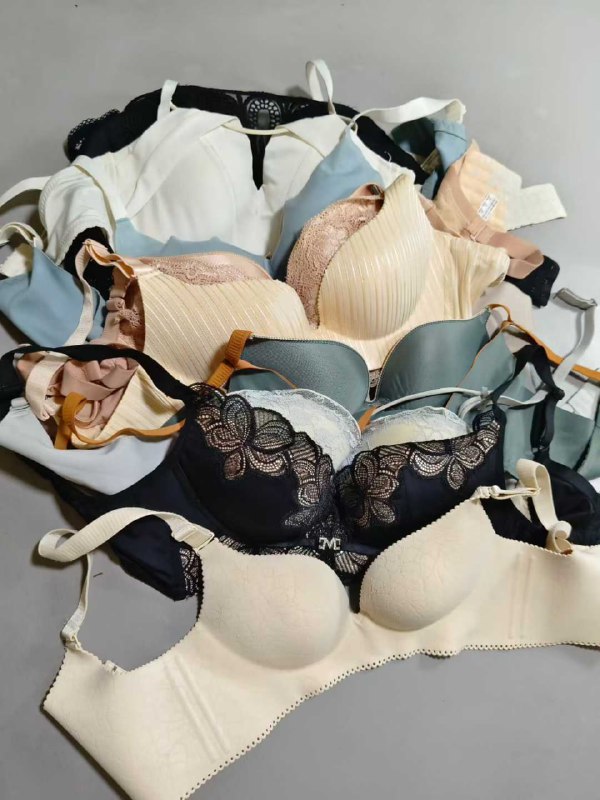 Photo gallery from 20250819, image 7