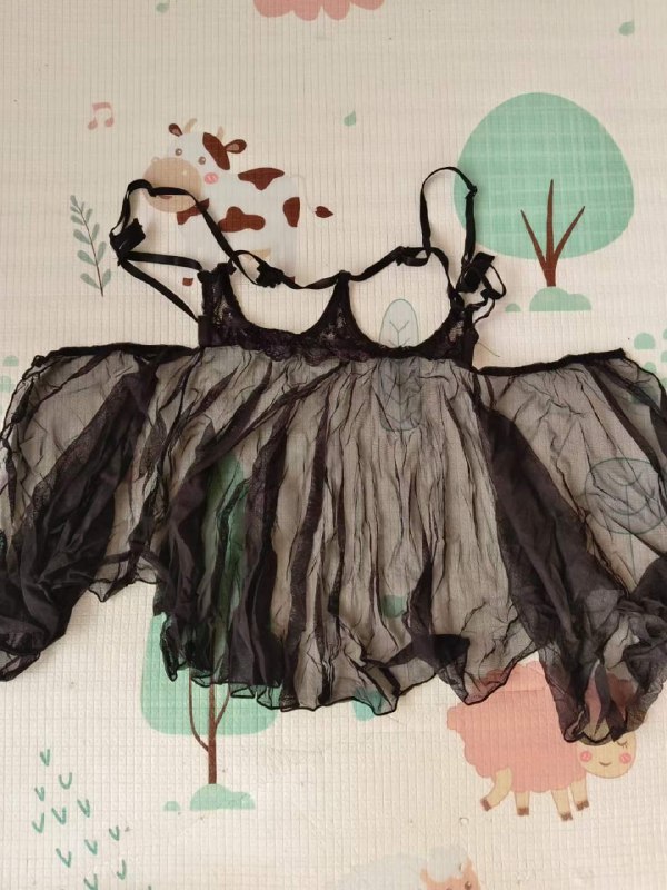 Photo gallery from 20231110, image 10