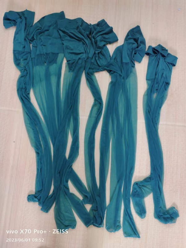 Photo gallery from 20230601, image 3