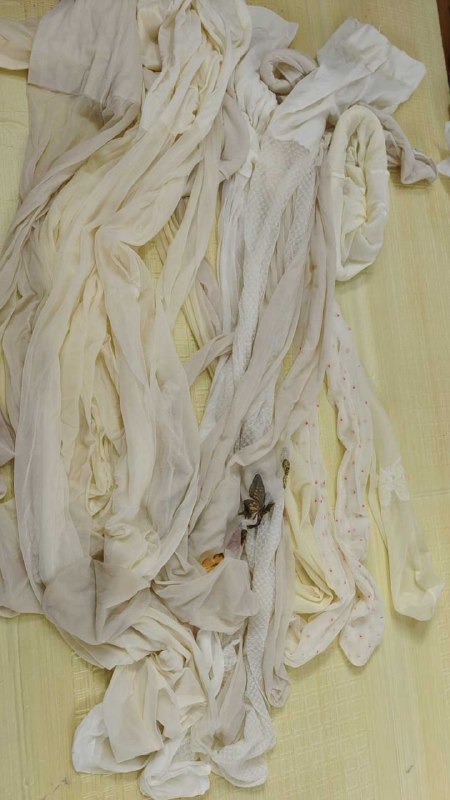 Photo gallery from 20250726, image 11