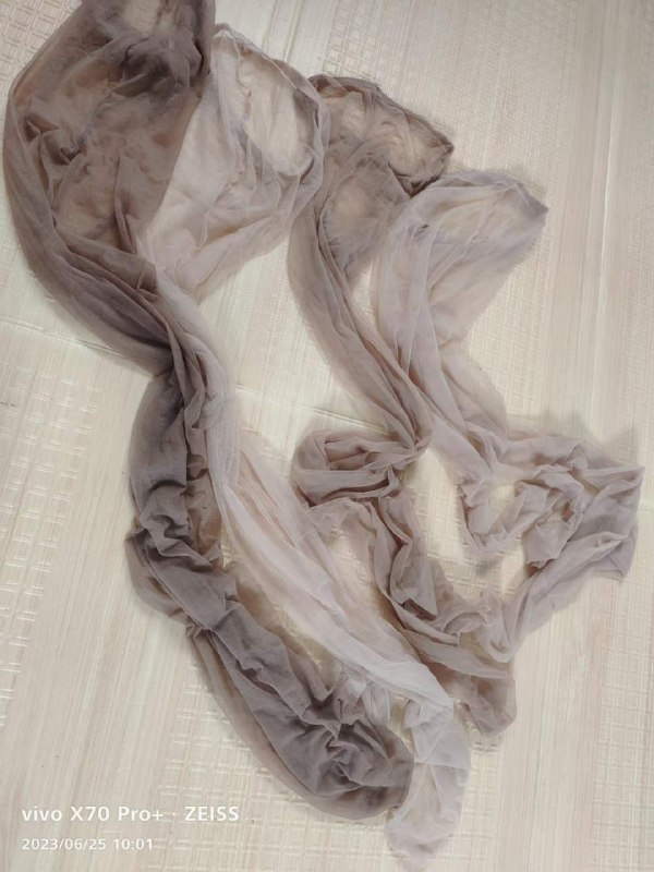 Photo gallery from 20230625, image 12