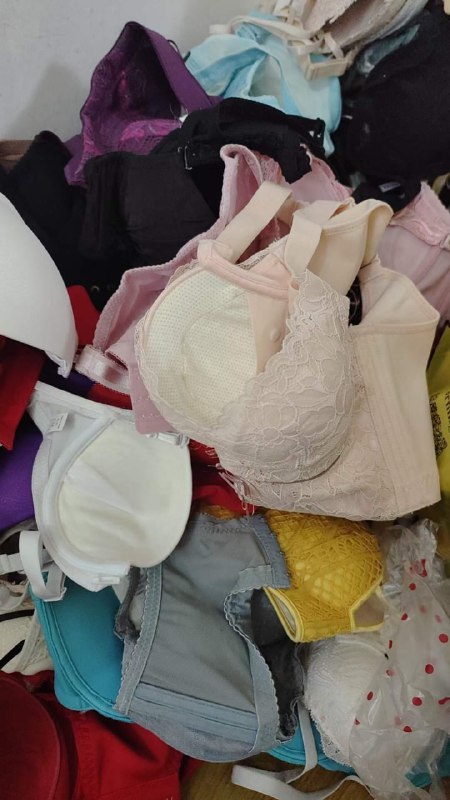 Photo gallery from 20231111, image 11