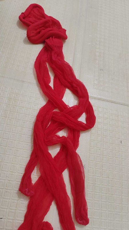 Photo gallery from 20250807, image 11