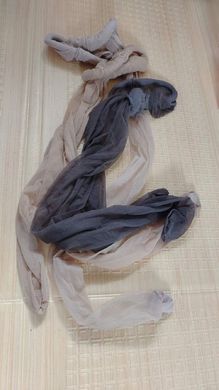 Photo gallery from 20231104, image 6