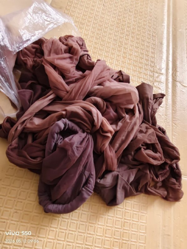Photo gallery from 20260512, image 11