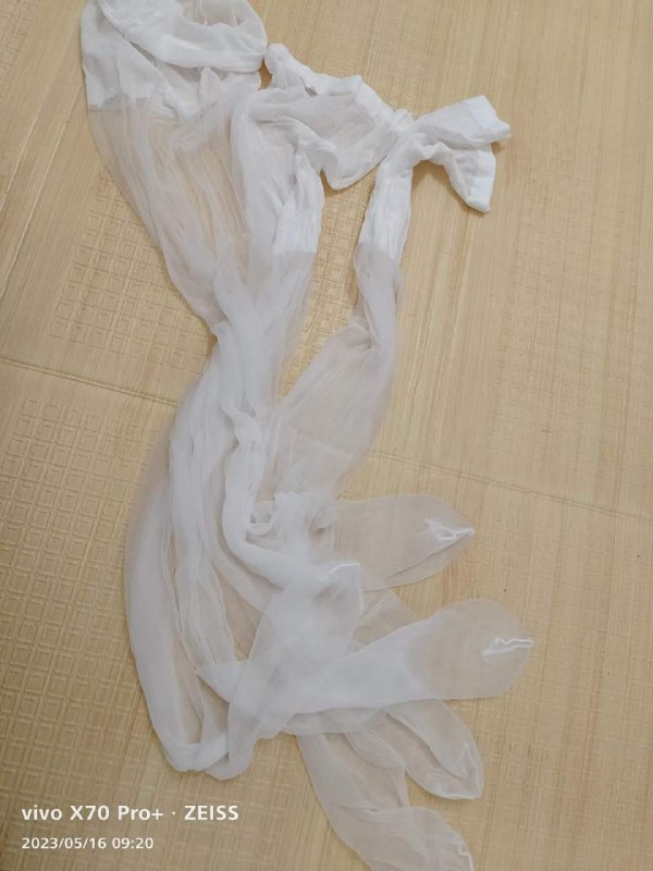 Photo gallery from 20230516, image 9