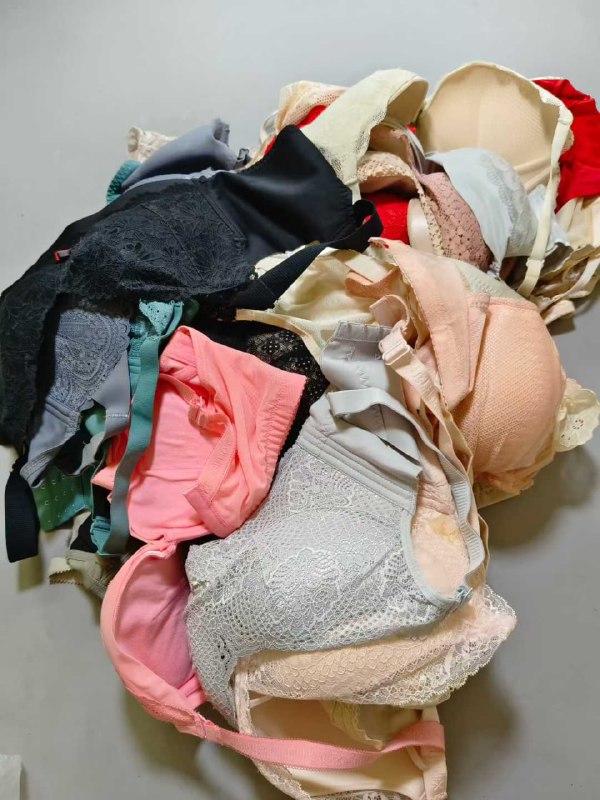 Photo gallery from 20250810, image 9