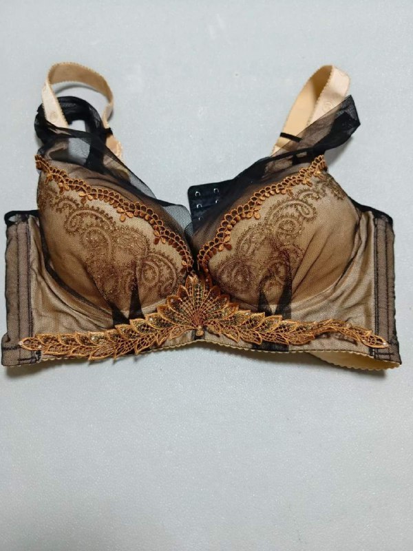 Photo gallery from 20230829, image 5