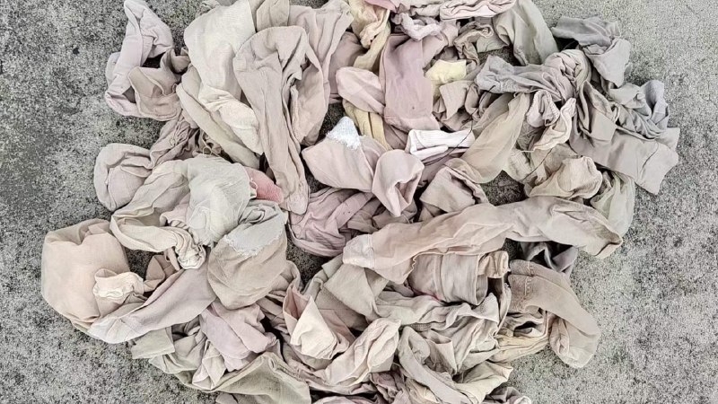 Photo gallery from 20230717, image 8