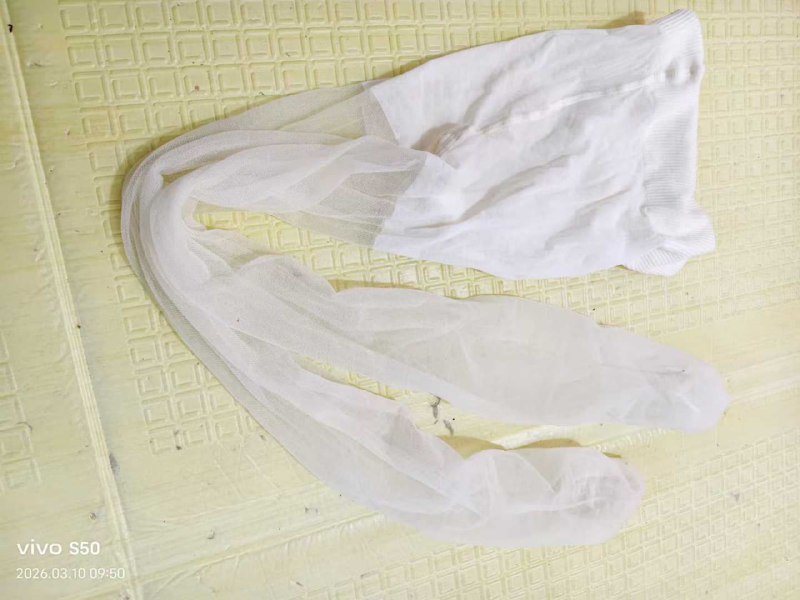 Photo gallery from 20260310, image 8