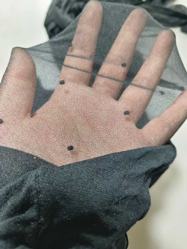 Photo gallery from 20250831, image 8